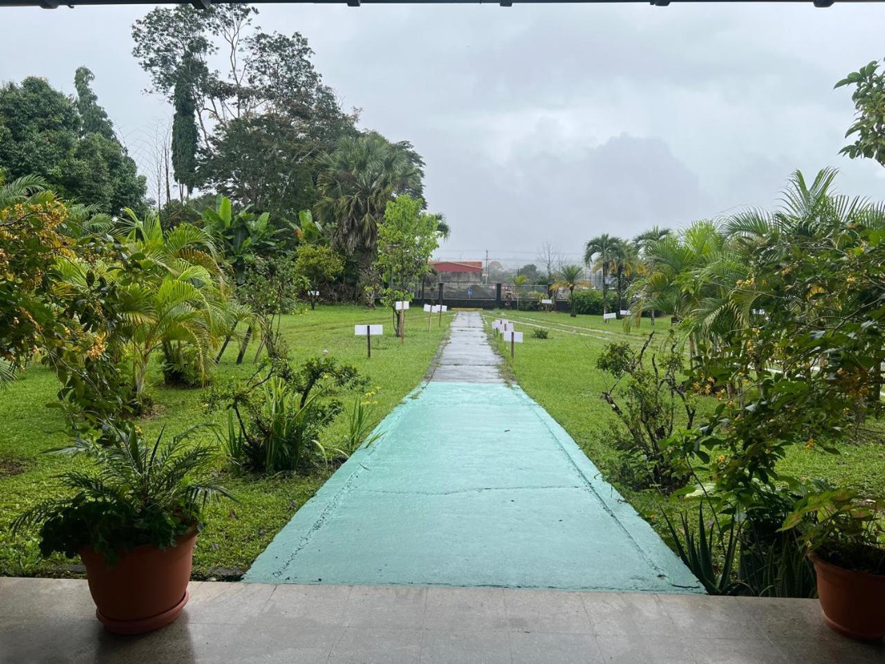 Casa Eva Lodging Costa Rica San Isidro De El General Buitenkant foto
